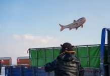 Cina: al via il Festival della pesca sul ghiaccio e neve a Songyuan (2)