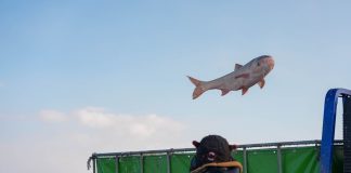 Cina: al via il Festival della pesca sul ghiaccio e neve a Songyuan (2)