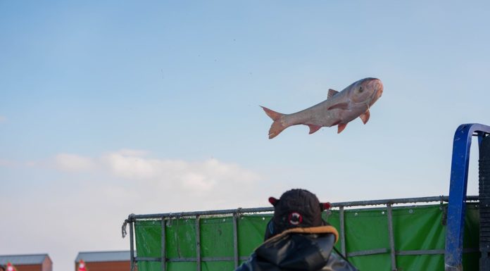 Cina: al via il Festival della pesca sul ghiaccio e neve a Songyuan (2)