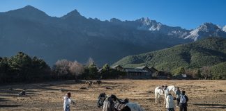 Cina: Yunnan, turismo a Naxi genera 75 mln yuan di fatturato (1)