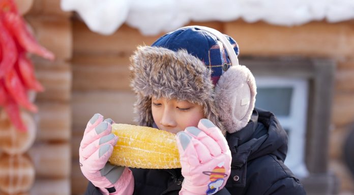 Cina: a Harbin sculture di ghiaccio tinte con coloranti vegetali (1)