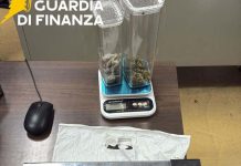 Controlli della Guardia di Finanza nel Napoletano: sequestro di armi e droga, due denunciati