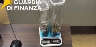 Controlli della Guardia di Finanza nel Napoletano: sequestro di armi e droga, due denunciati