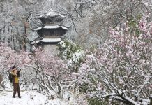 Cina: inizia la stagione più fredda nell’11esimo mese del calendario lunare (1)