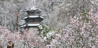 Cina: inizia la stagione più fredda nell’11esimo mese del calendario lunare (1)