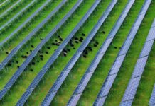 Cina, nel Sichuan attivato importante progetto fotovoltaico ad alta quota