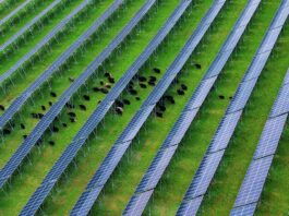 Cina, nel Sichuan attivato importante progetto fotovoltaico ad alta quota