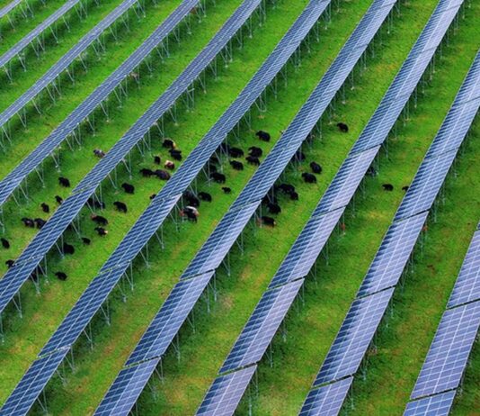 Cina, nel Sichuan attivato importante progetto fotovoltaico ad alta quota