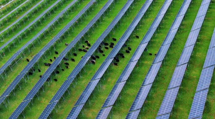 Cina, nel Sichuan attivato importante progetto fotovoltaico ad alta quota