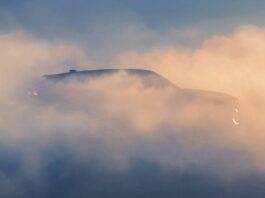Si chiamerà Filante, il crossover audace e carismatico di Renault