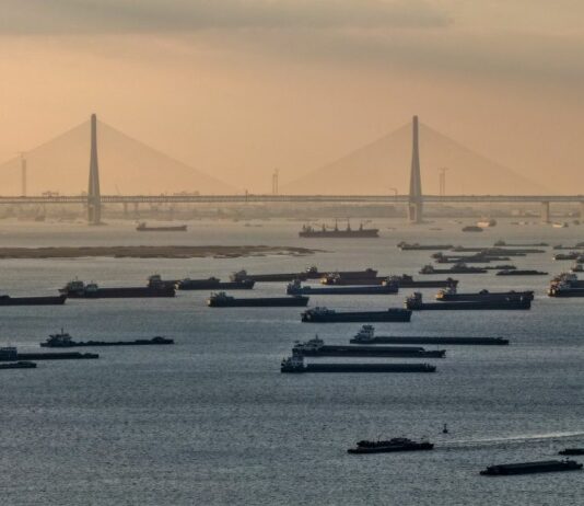 Cina, Yangtze il fiume interno più trafficato al mondo per volume merci