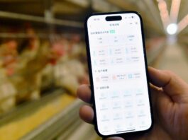 La Cina crea un sistema di registrazione per i diritti di proprietà dei dati
