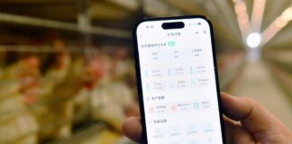 La Cina crea un sistema di registrazione per i diritti di proprietà dei dati