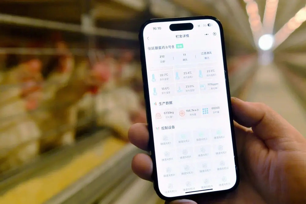 geronimo it archivio-news-2021-8 011