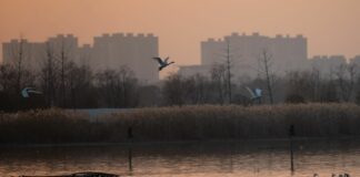 Ambiente, migliorano i parametri in Cina nel 2025