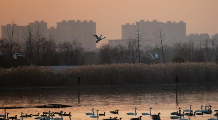 Ambiente, migliorano i parametri in Cina nel 2025