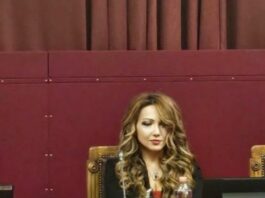 Pmi, Federimpreseuropa “Sì al dirigente temporaneo”