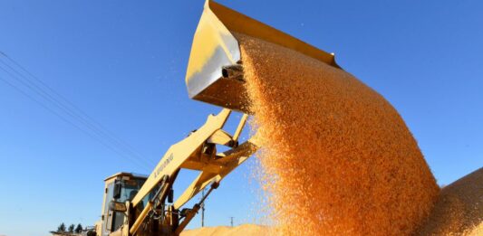 Cina, boom nella produzione di cereali nel 2025