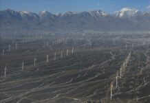 Portavoce Esteri cinese “Riconosciuti i nostri sforzi su clima e rinnovabili”