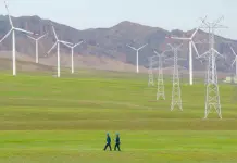 Presidente WBCSD “Cina attore chiave in transizione globale per sostenibilità”