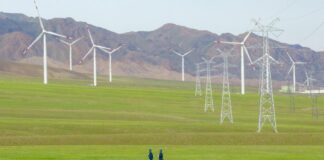 Presidente WBCSD “Cina attore chiave in transizione globale per sostenibilità”