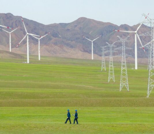 Presidente WBCSD “Cina attore chiave in transizione globale per sostenibilità”