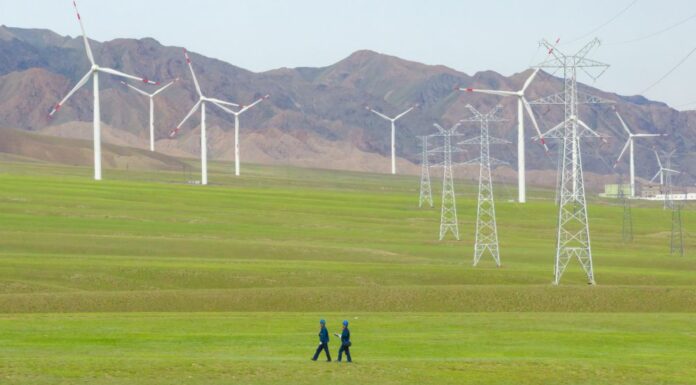 Presidente WBCSD “Cina attore chiave in transizione globale per sostenibilità”