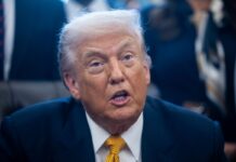 Ucraina, Trump “Putin ha accettato di non attaccare per una settimana”