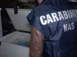 Macellazione clandestina a Salerno, sequestrati 6 quintali di carni