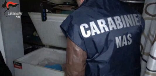 Macellazione clandestina a Salerno, sequestrati 6 quintali di carni