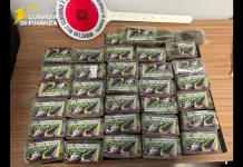 La droga viaggiava sui social e nei pacchi postali, blitz a Palermo con 11 arresti