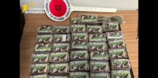 La droga viaggiava sui social e nei pacchi postali, blitz a Palermo con 11 arresti