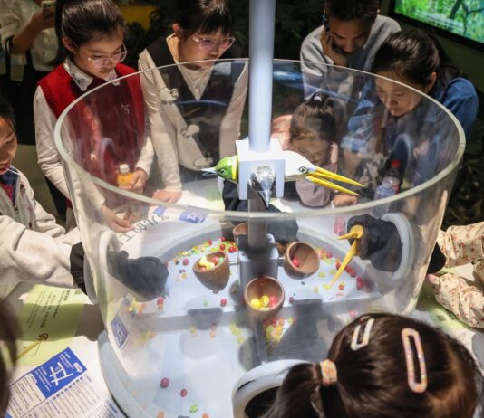 Cina, in aumento gli investimenti per la divulgazione scientifica