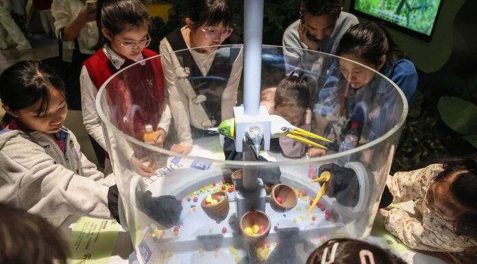 Cina, in aumento gli investimenti per la divulgazione scientifica