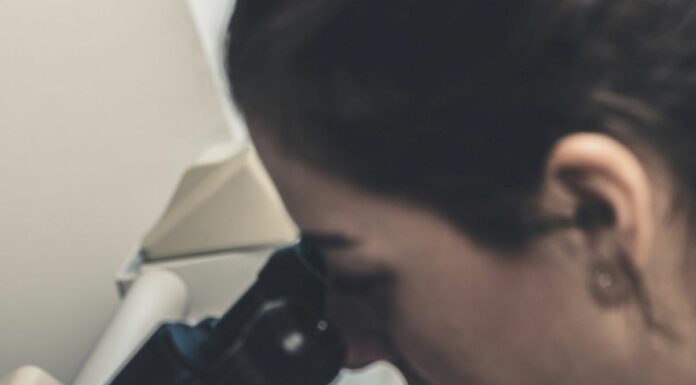 Sanità, ISMETT confermato IRCCS nell’area trapiantologica