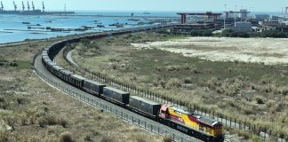 Cina: esportati semi di fiori e ortaggi in Italia via treno e mare