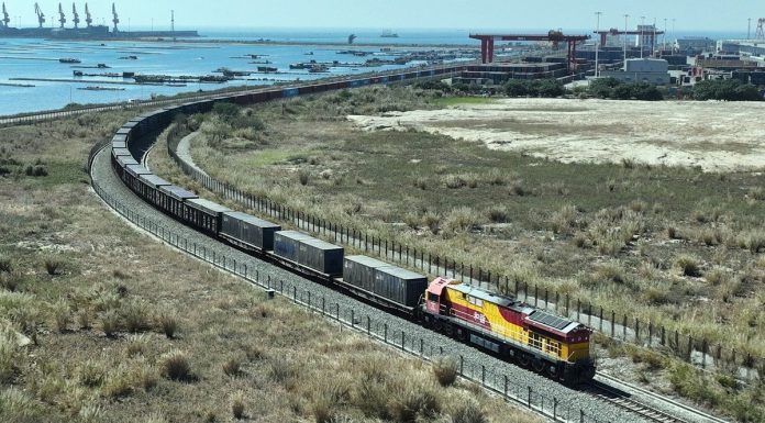 Cina: esportati semi di fiori e ortaggi in Italia via treno e mare