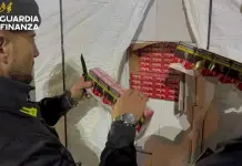 ضبط أكثر من 7 أطنان سجائر مهربة ومقلدة في بادوفا