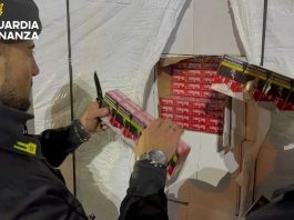 Padova, sequestrate 7 tonnellate di sigarette di contrabbando contraffatte