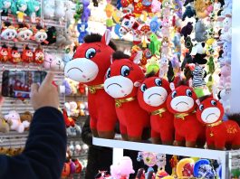 Cina: peluche con errore di cucitura diventa virale (1)