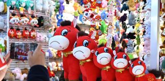Cina: peluche con errore di cucitura diventa virale (1)