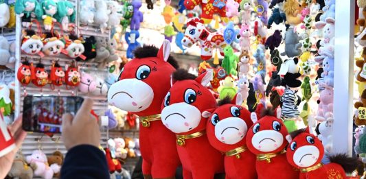 Cina: peluche con errore di cucitura diventa virale (1)