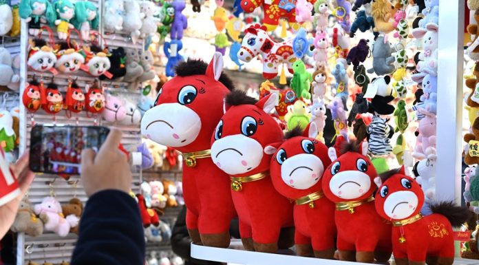 Cina: peluche con errore di cucitura diventa virale (1)