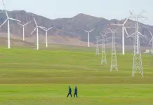 CEO WBCSD, “Cina attore chiave in transizione globale verso sostenibilità”