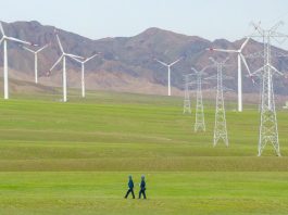 CEO WBCSD, “Cina attore chiave in transizione globale verso sostenibilità”