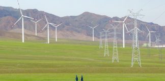 CEO WBCSD, “Cina attore chiave in transizione globale verso sostenibilità”