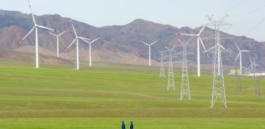 CEO WBCSD, “Cina attore chiave in transizione globale verso sostenibilità”