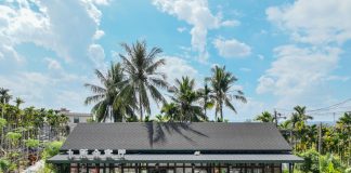 Cina: bevande e cultura locale nelle 18 caffetterie di Ding’an (2)