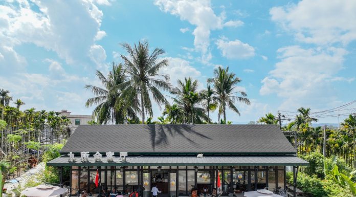 Cina: bevande e cultura locale nelle 18 caffetterie di Ding’an (2)