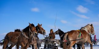 Cina: al via il Festival della pesca sul ghiaccio e neve a Songyuan (1)